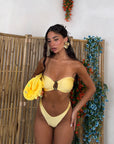 COORD PLUMA
