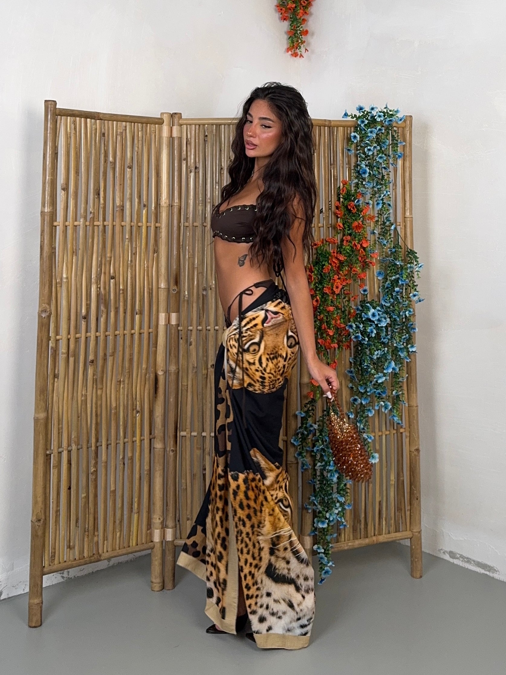 PAREO TIGRE