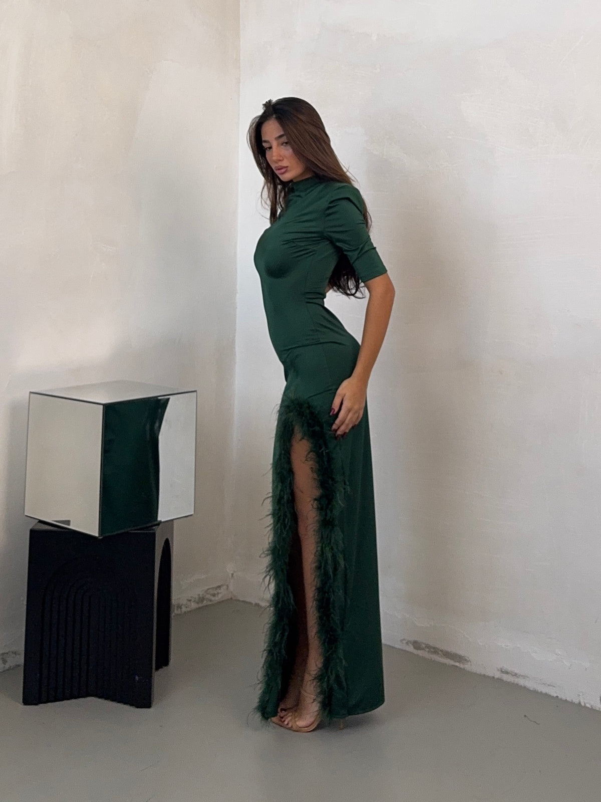 DRESS PLUMAGE