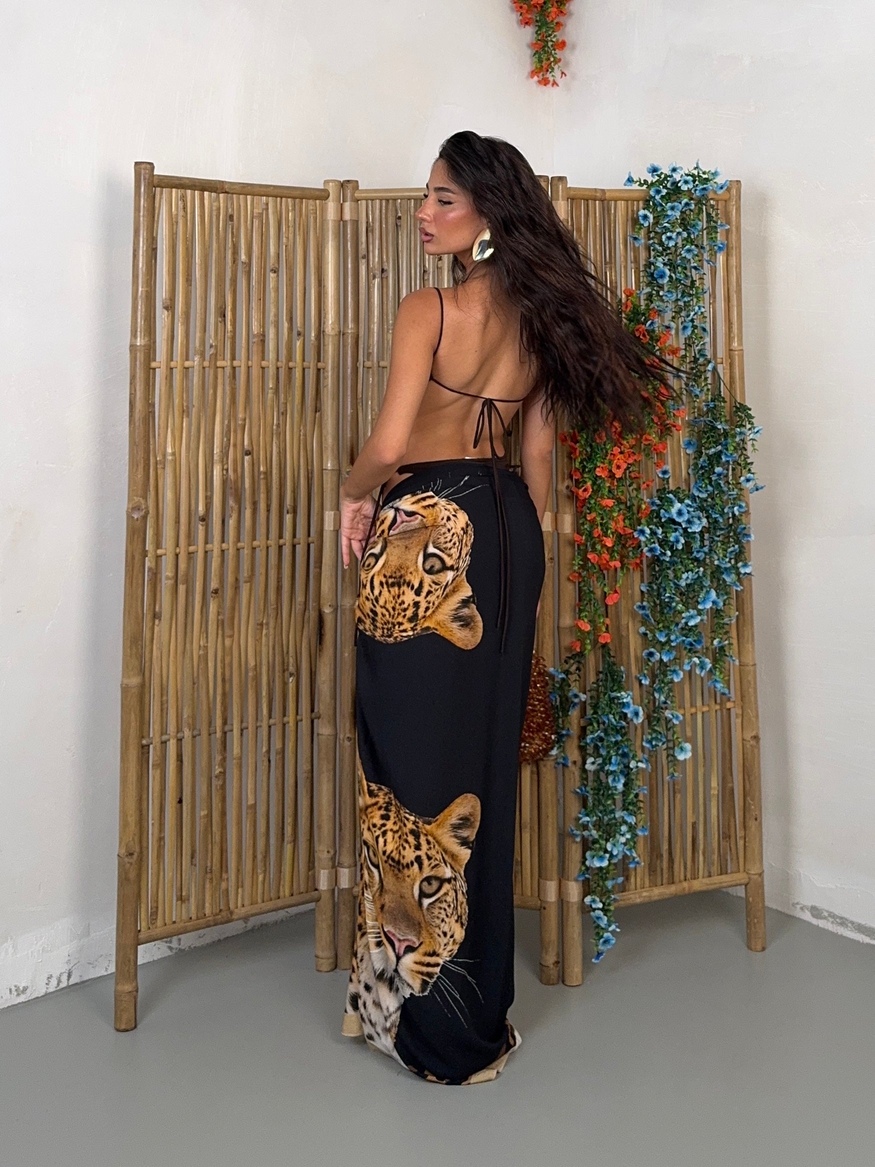 PAREO TIGRE