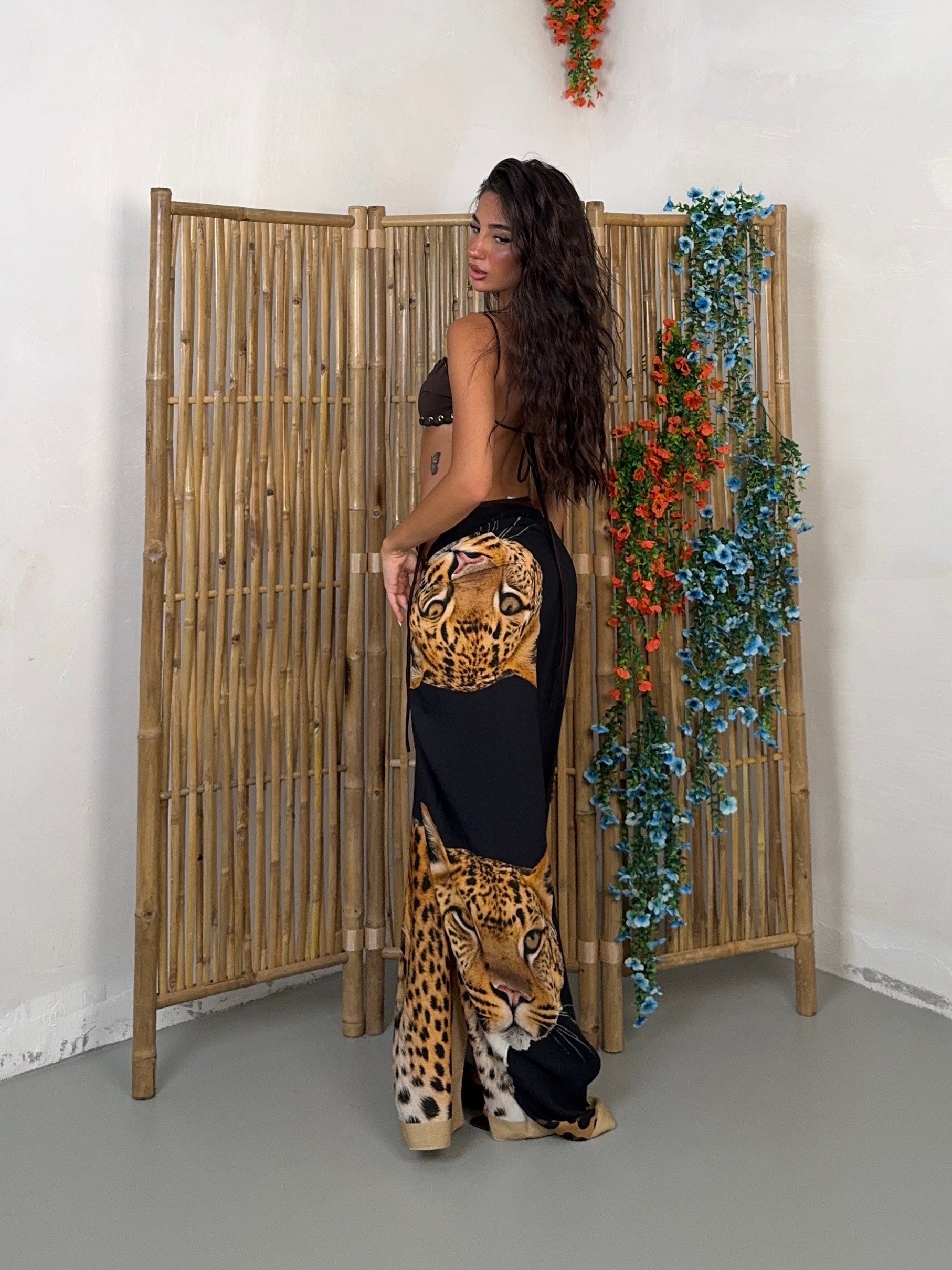PAREO TIGRE