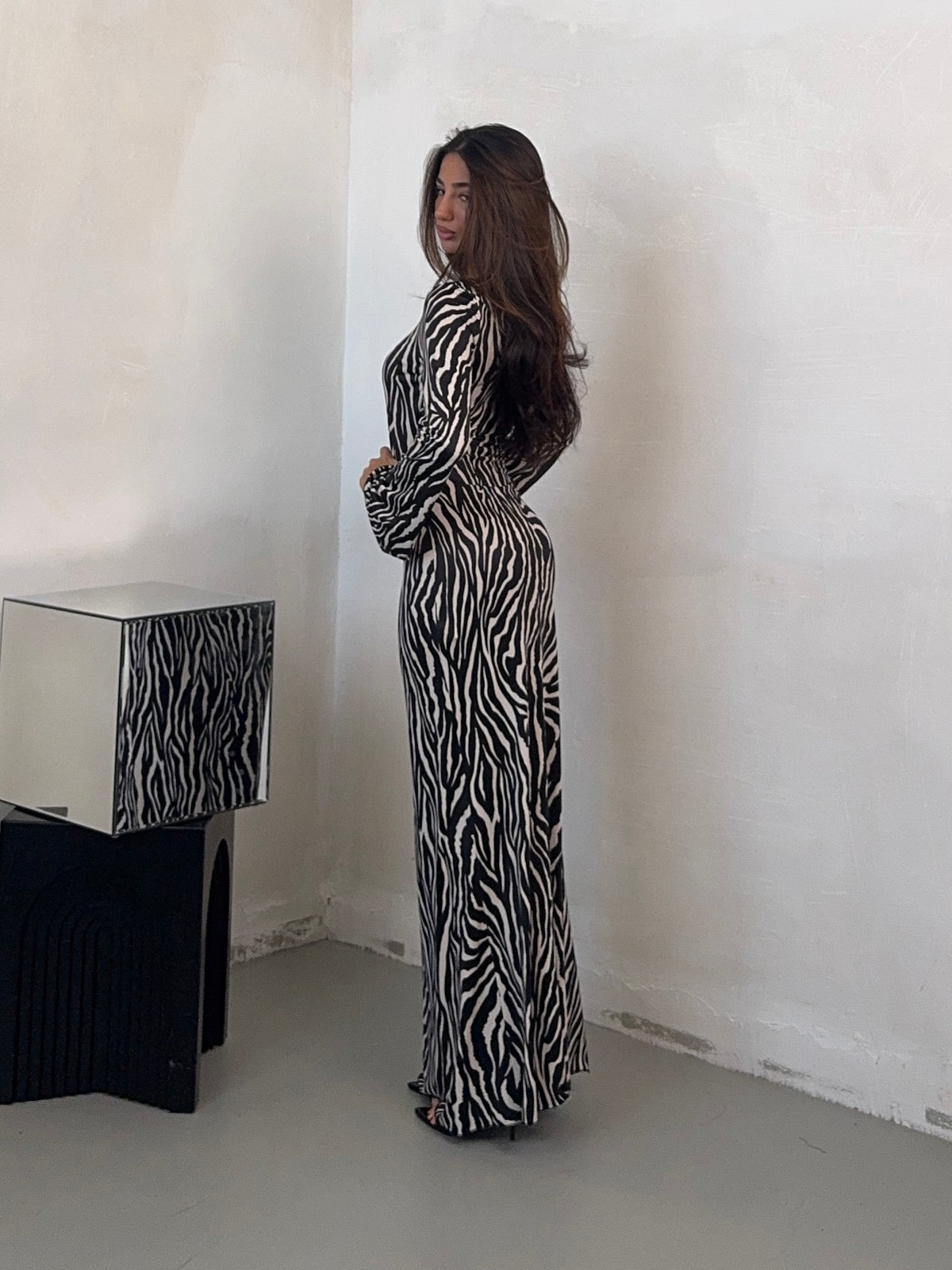 DRESS ZEBRA MOVES