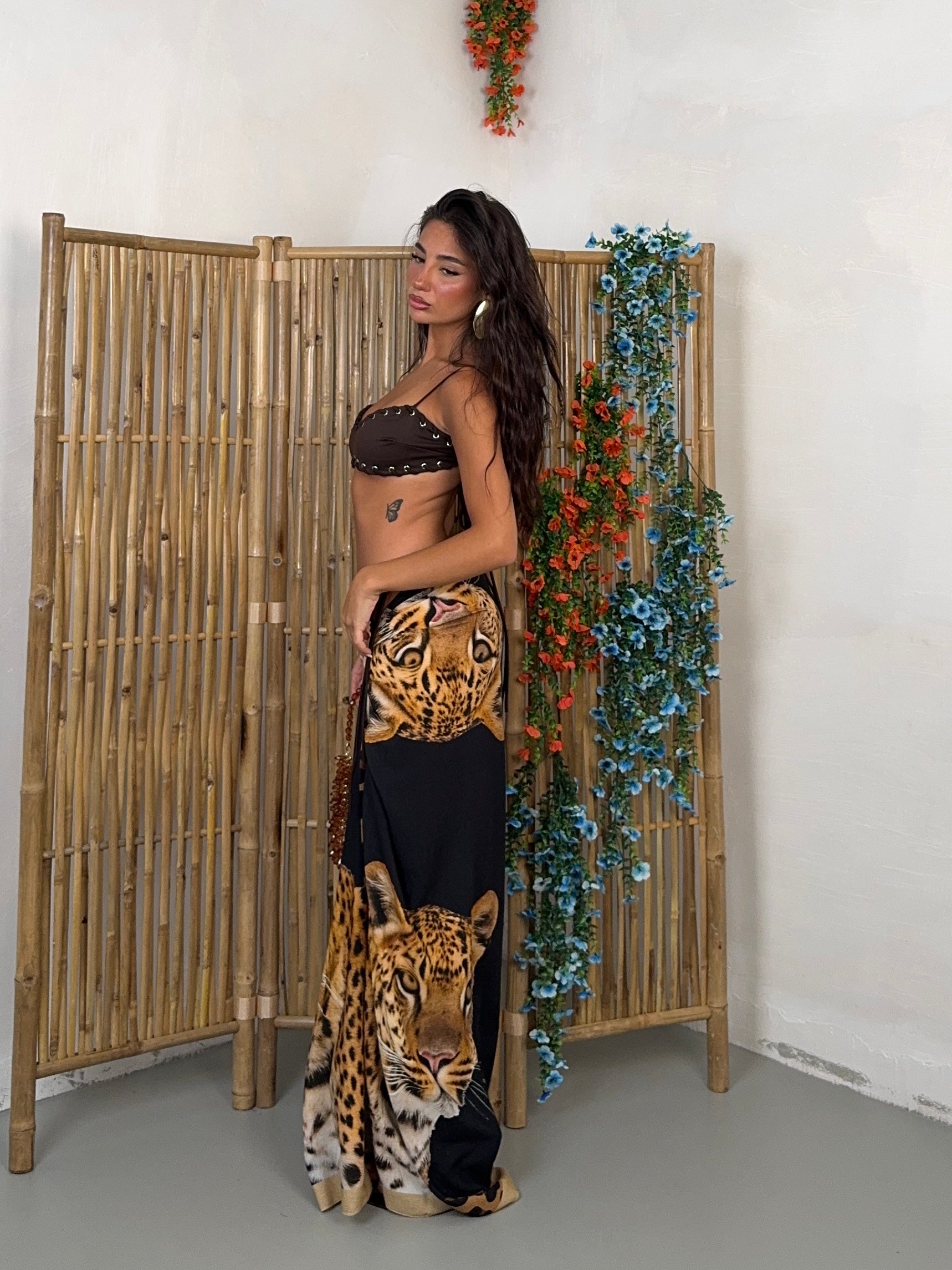 PAREO TIGRE