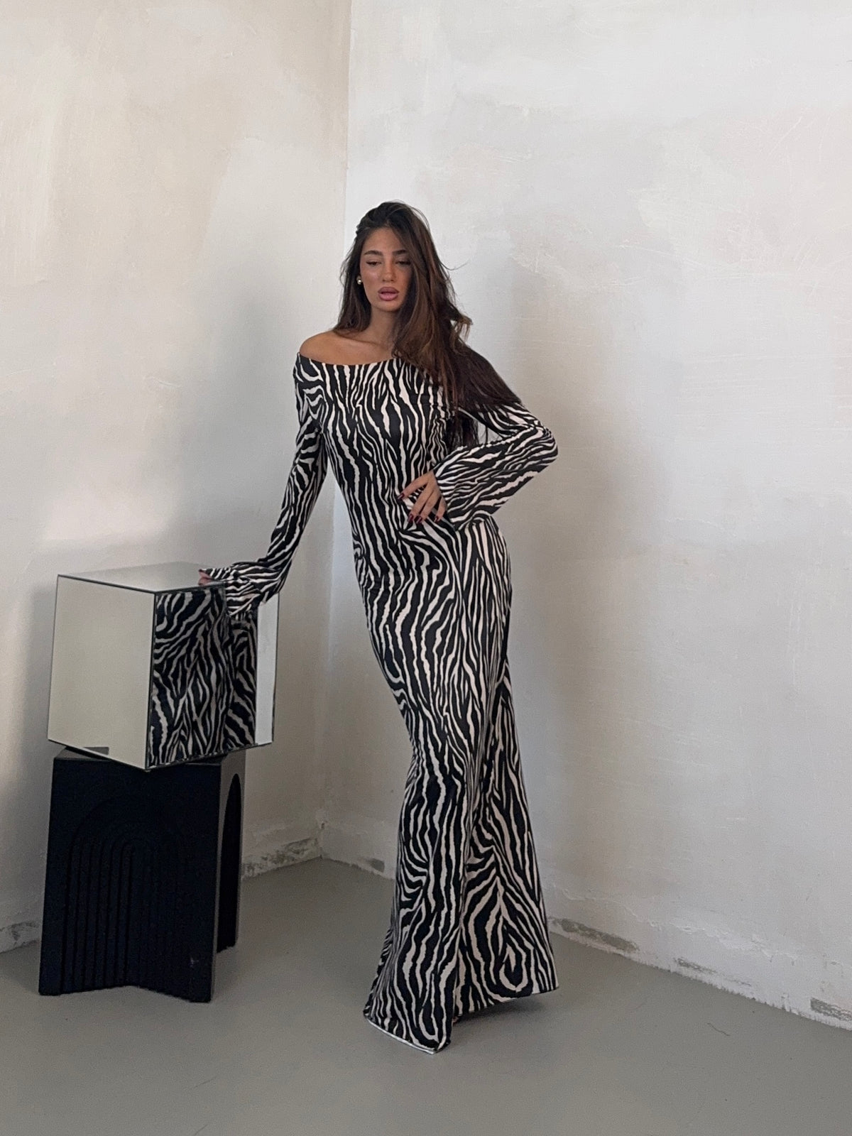 DRESS ZEBRA MOVES